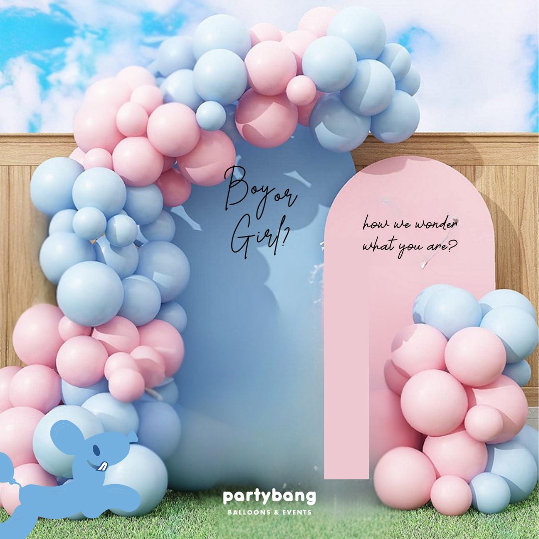 Gender Reveal Pink or Blue Foamboard Backdrop Setup with Balloon Garland