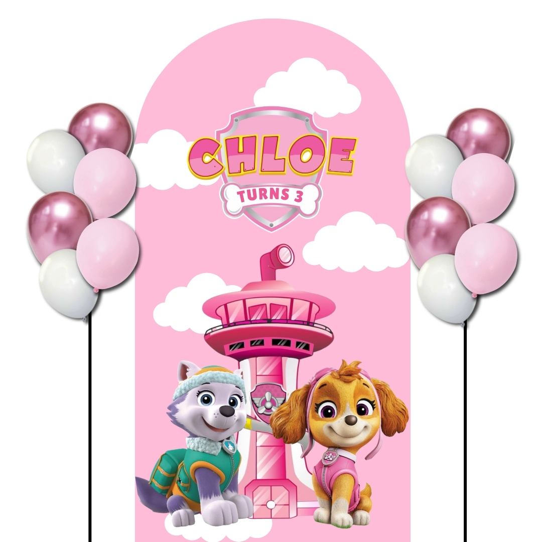 Custom Theme Foam Backdrop Set-up with Helium Balloons Superb A (One Board) Paw Petrol