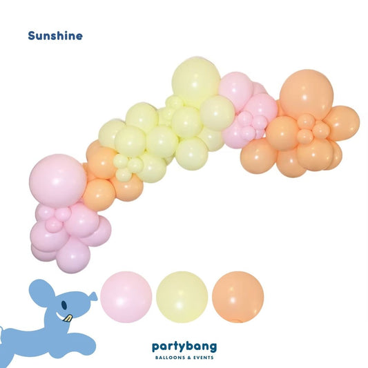 Grab & Go 2-meter Balloon Garland (Sunshine)