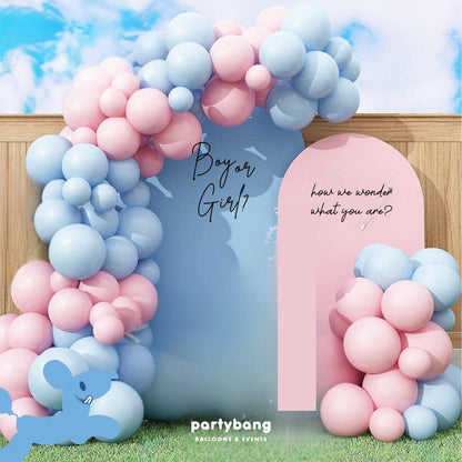Gender Reveal Pink or Blue Foamboard Backdrop Setup with Balloon Garland