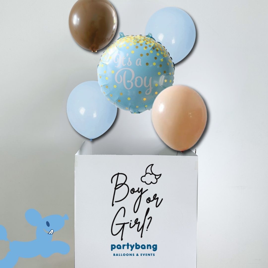[Helium Inflated] Gender Reveal Surprise Box It's a Girl/ Boy