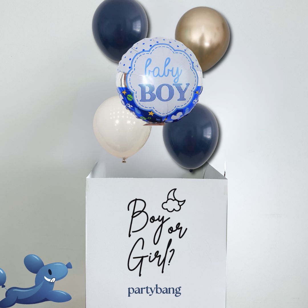 [Helium Inflated] Gender Reveal Surprise Box It's a Girl/ Boy