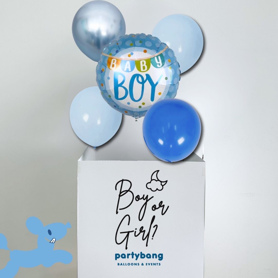 [Helium Inflated] Gender Reveal Surprise Box It's a Girl/ Boy