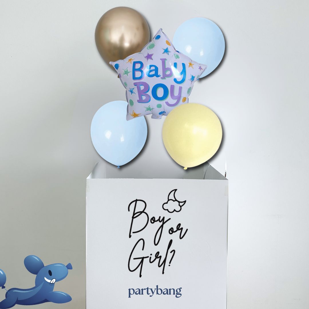 [Helium Inflated] Gender Reveal Surprise Box It's a Girl/ Boy